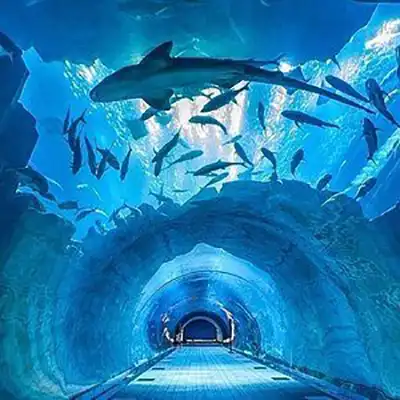 Aquarium-de-Dubai