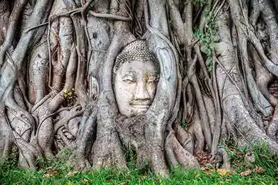 Ayutthaya and the Ayothaya floating market