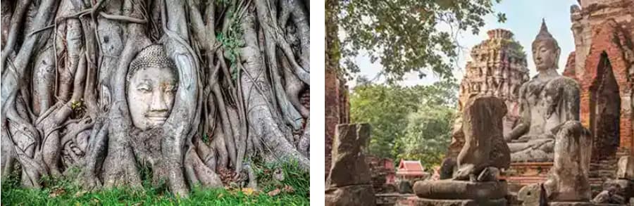 Bangkok travel guide - Top attractions & must-see activities