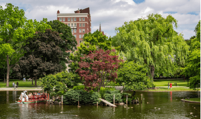 Boston cruise port excursions