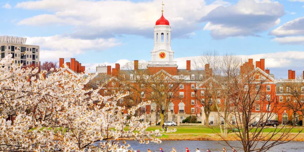 Boston cruise port excursions