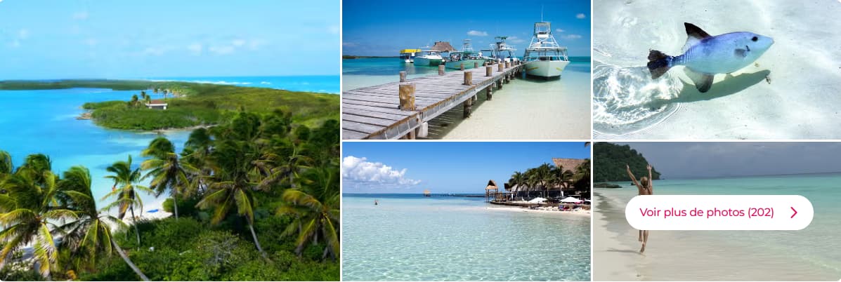Excursion à Isla Contoy et Isla Mujeres