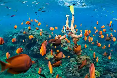 Escales croisière aux caraïbes