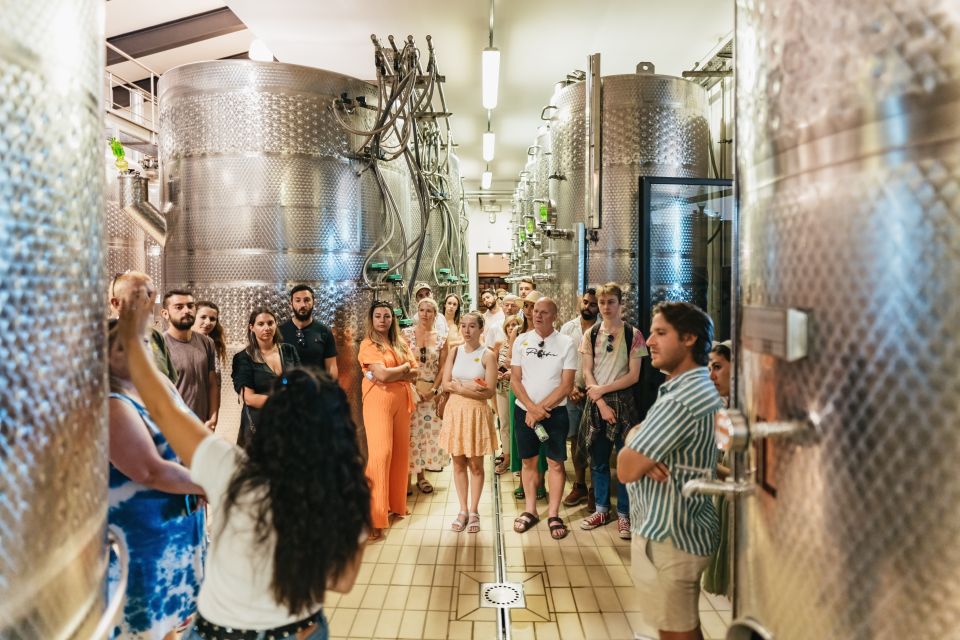 Chianti Wine Tour with Tasting Florence mtt 1