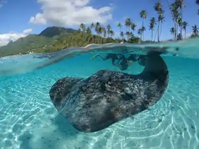 Croisière autour du monde Moorea mtt 3