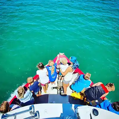 Croisière touristique du port de Mount Maunganui mtt