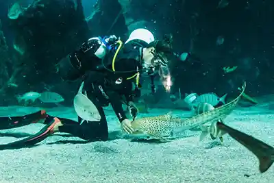 Kreuzfahrtstopps im Mittelmeer