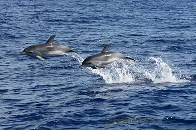 Kreuzfahrtstopps im Mittelmeer