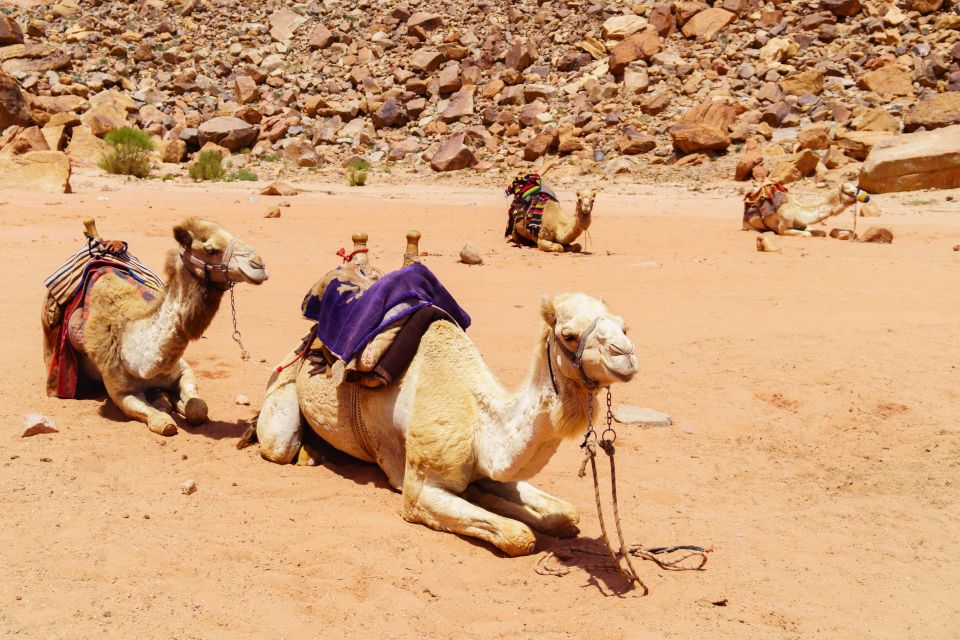 Escale crociera giro del mondo