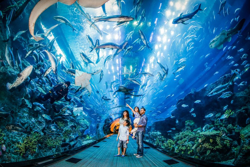 Aquarium-de-Dubai