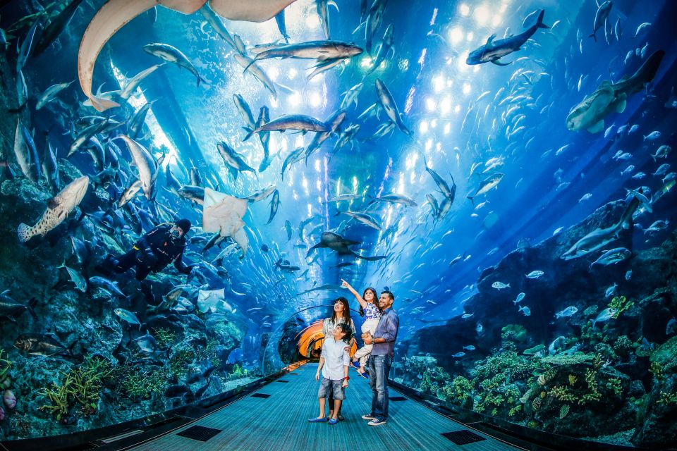 Dubaï aquarium