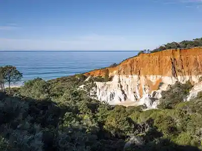 Croisière autour du monde - Guide complet Eden – 2 heures de visite mtt 1