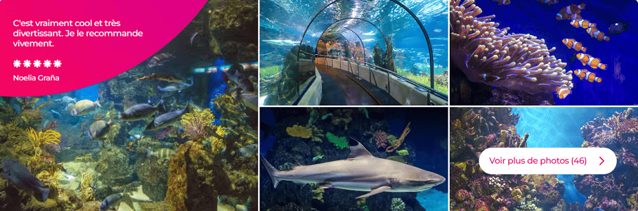 Escala de crucero Barcelona