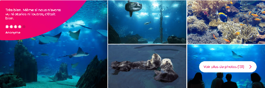 Escala de crucero en Lisboa Entradas - Oceanário de Lisboa