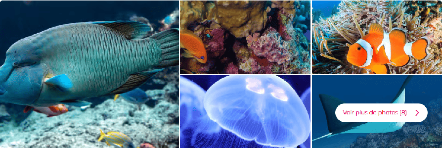 Escala de crucero en Livorno