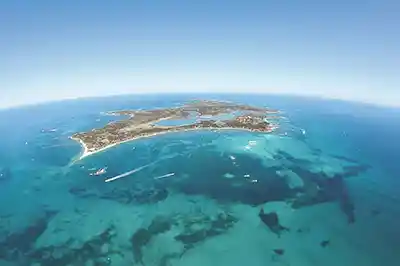 Ferry pour l’île de Rottnest et billet d’entrée mtt 1