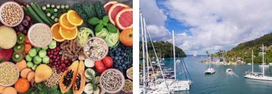 Guía completa de cruceros