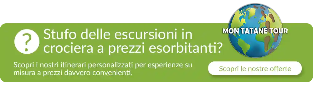 Stufo delle escursioni in
crociera a prezzi esorbitanti?