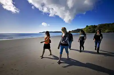 Île Waiheke – Billets de ferry et bus à arrêts multiples mtt 1