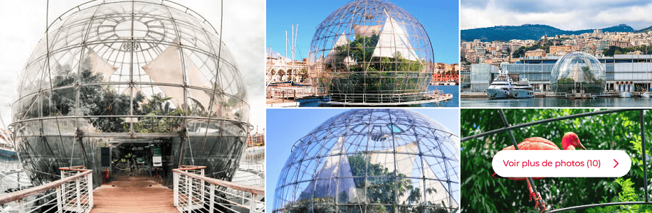 Kreuzfahrtstopp in Genua Ticket – Biosfera