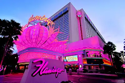 Visiter Las Vegas The Flamingo Las Vegas