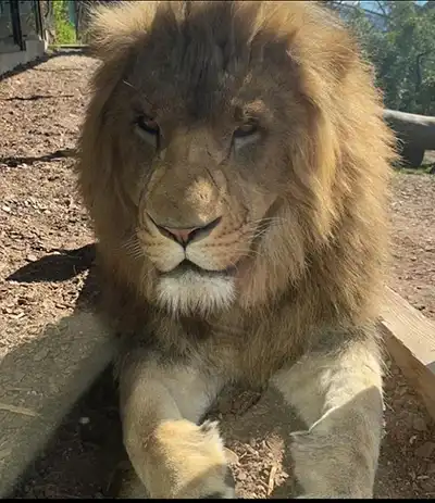 Le jardin zoologique de Lisbonne