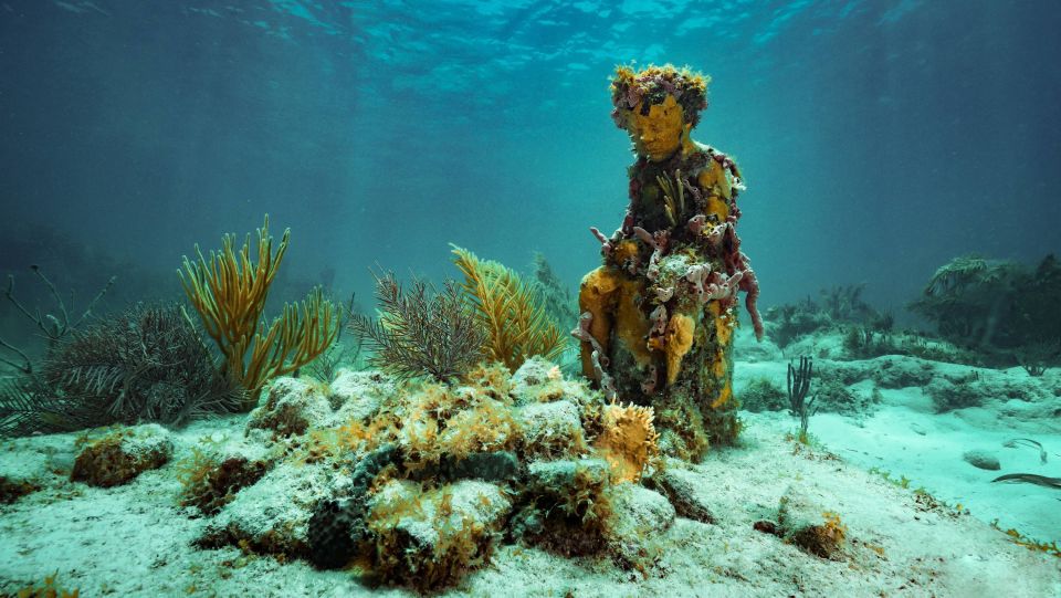 Le musée sous marin de Cancún