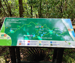 Le parc écologique Indigenous Eyes à Punta Cana