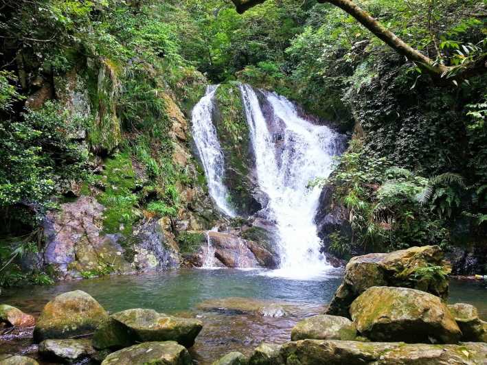 Le parc naturel de Tai Mo Shan hong kong mtt