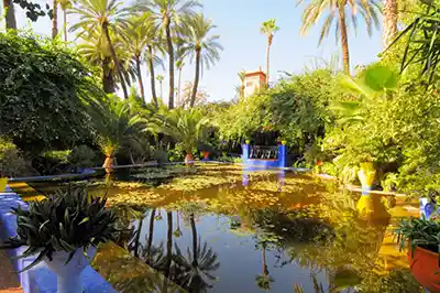 Les jardins de Majorelle MARRAKECH