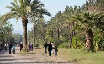 Marrakech - Les jardins de l_Agdal mtt 2