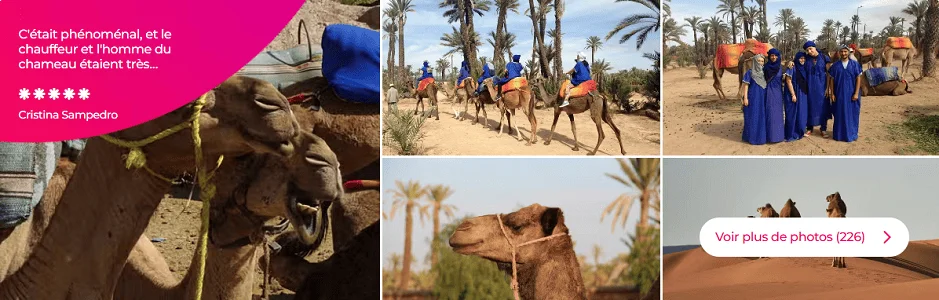 Marrakech travel guide - 