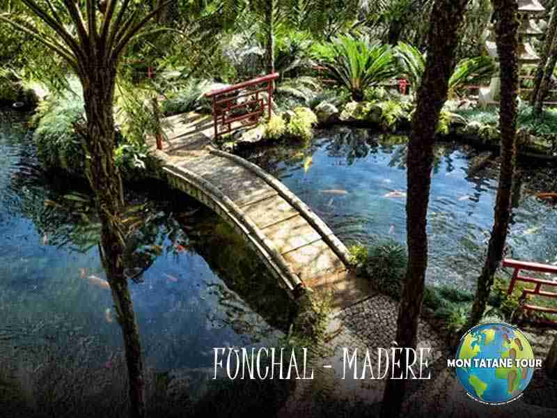 Funchal travel guide Monte palace tropical garden