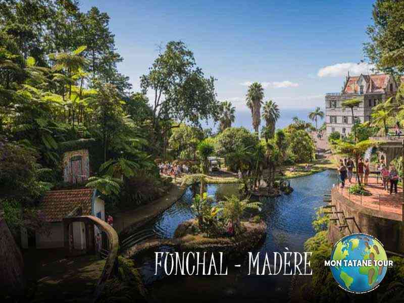 Funchal travel guide Monte palace tropical garden