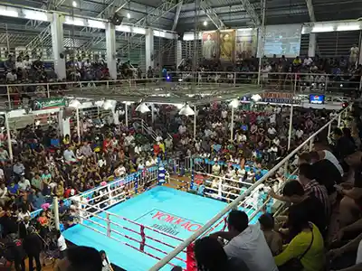 Muay thai fight mtt 1