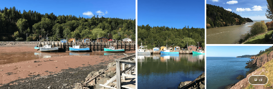 Excursion en bus à la Baie de Fundy depuis Saint John