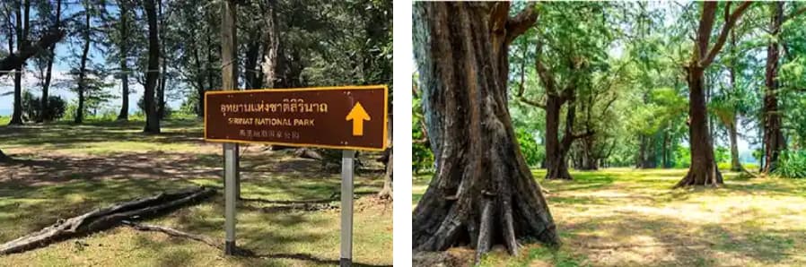 Phuket travel guide - Top Attractions, beaches, and things to do