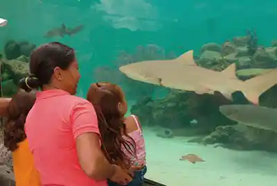 Escalas de crucero en el Caribe