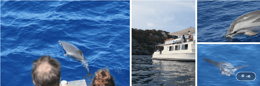 Savona cruise port excursions