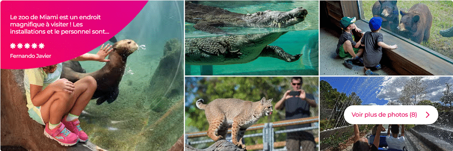 Scalo di crociera a Miami 