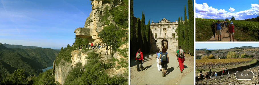 Scalo di crociera a Tarragona Escursione - Trekking e vino nel Priorat