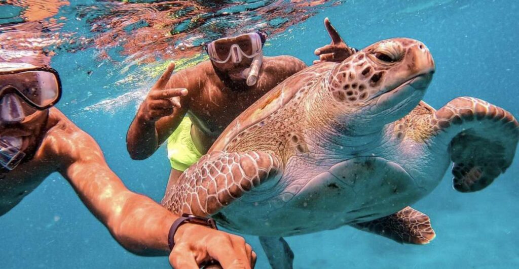 Snorkeling with sea turtles in São Vicente
