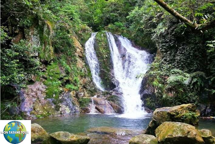 Tai Mo Shan natural park Hong Long