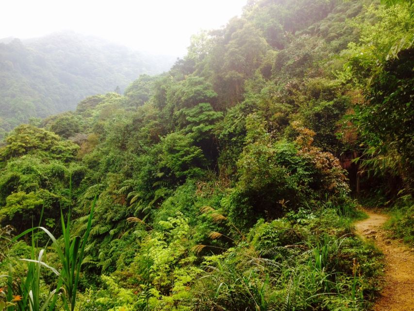 Tai Mo Shan natural park