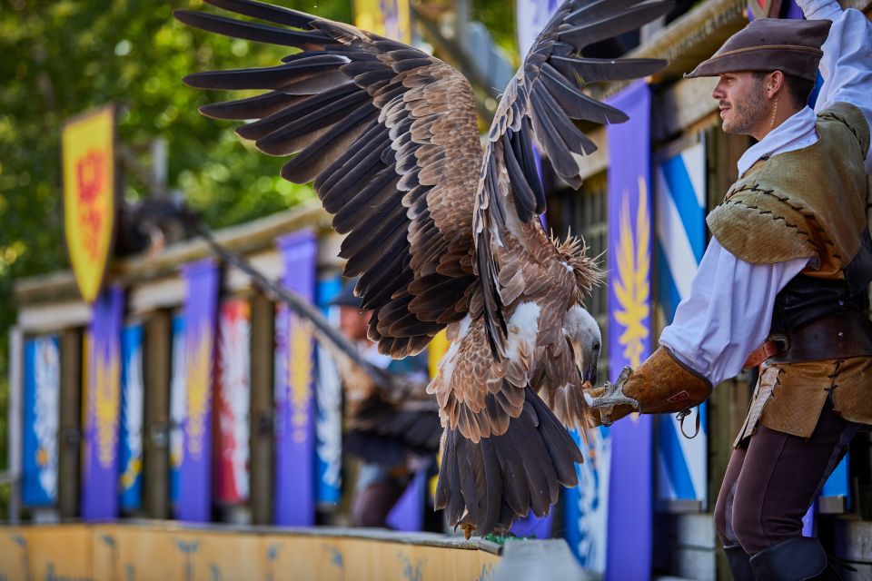 The Best Amusement ParksPuy du Fou