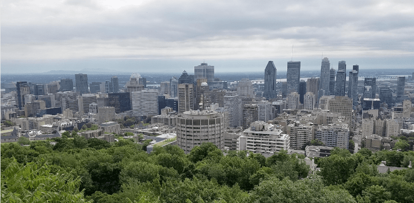 The Mont Royal lookout