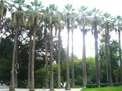 The National Garden of Athens 1