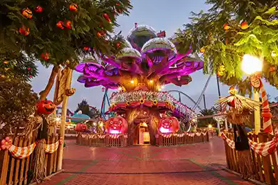 The best amusement park to celebrate Christmas
