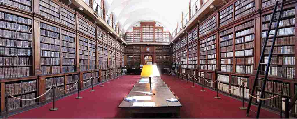 Ajaccio travel guide The library