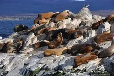 Escalas de un crucero vuelta al mundo